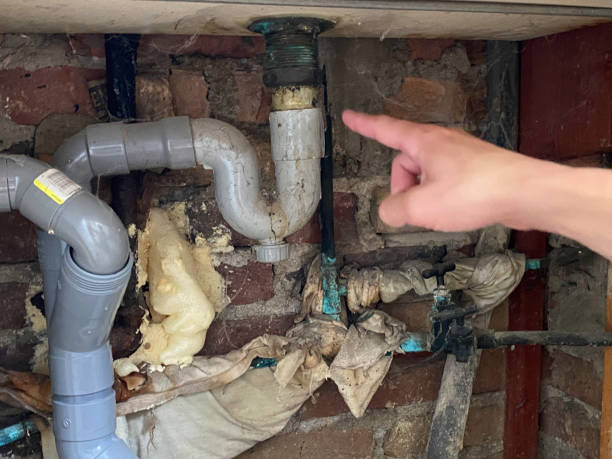 Best 24/7 water damage repair  in Mapleton, IA