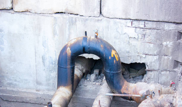 Best Fire Damage Restoration  in Mapleton, IA