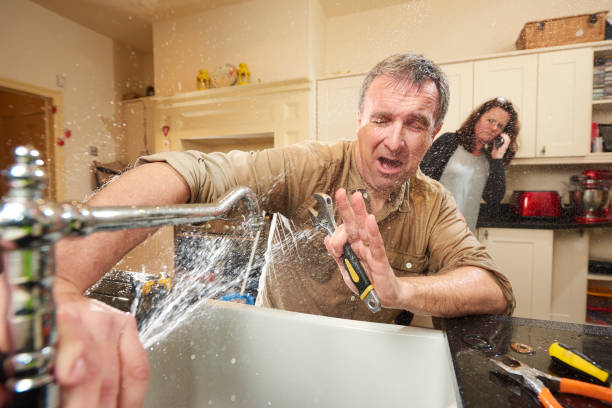 Best Local water damage restoration  in Mapleton, IA